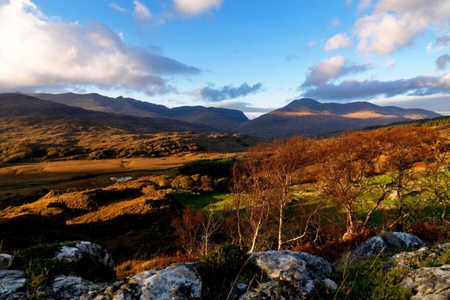 From Cork: 9-Hour Guided Ring of Kerry and Killarney Tour - Who should choose this Ring of Kerry tour?
