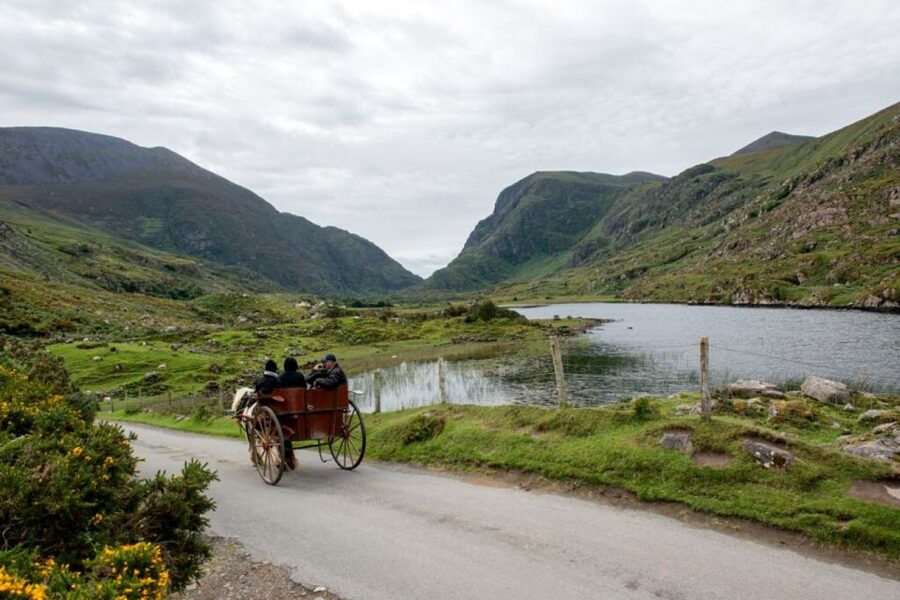 From Cork: 9-Hour Guided Ring of Kerry and Killarney Tour - Lunch in Sneem on Kenmare Bay