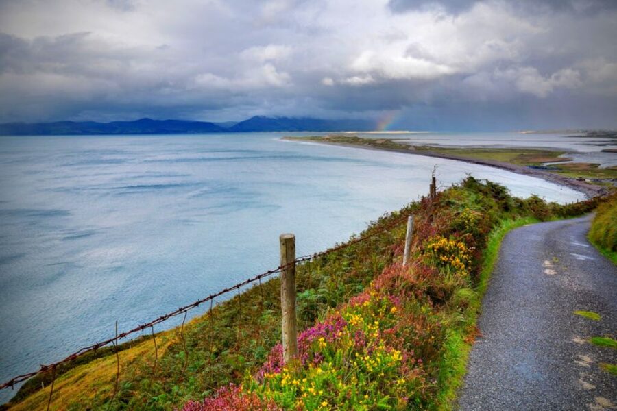 From Cork: 9-Hour Guided Ring of Kerry and Killarney Tour - Woodland and Lough Leane before Killarney