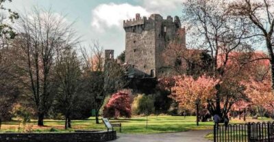 County Cork Highlights Tour with Entrance Tickets