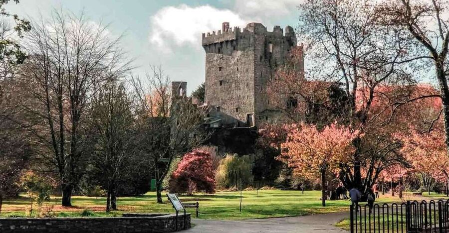 From Cork: County Cork Highlights Tour with Entrance Tickets - Blarney Castle and the famous stone