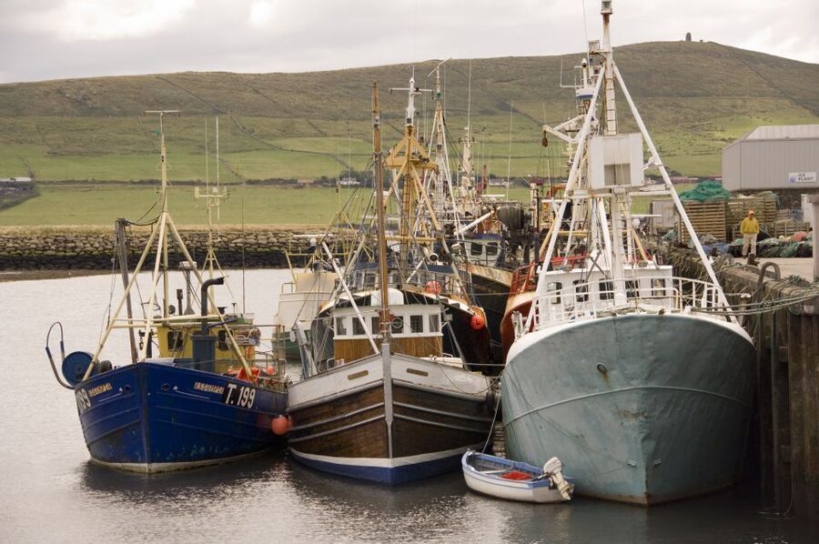 From Cork: Full-Day Guided Tour to Dingle Peninsula - Time, transport, and the value of $67