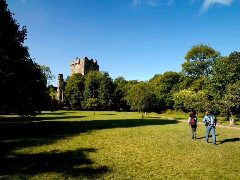 From Cork: Guided Shared Shore Excursion - Key points to know before booking
