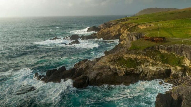 From Cork: Ring of Kerry & Killarney Guided Full Day Tour - Key points to know before booking