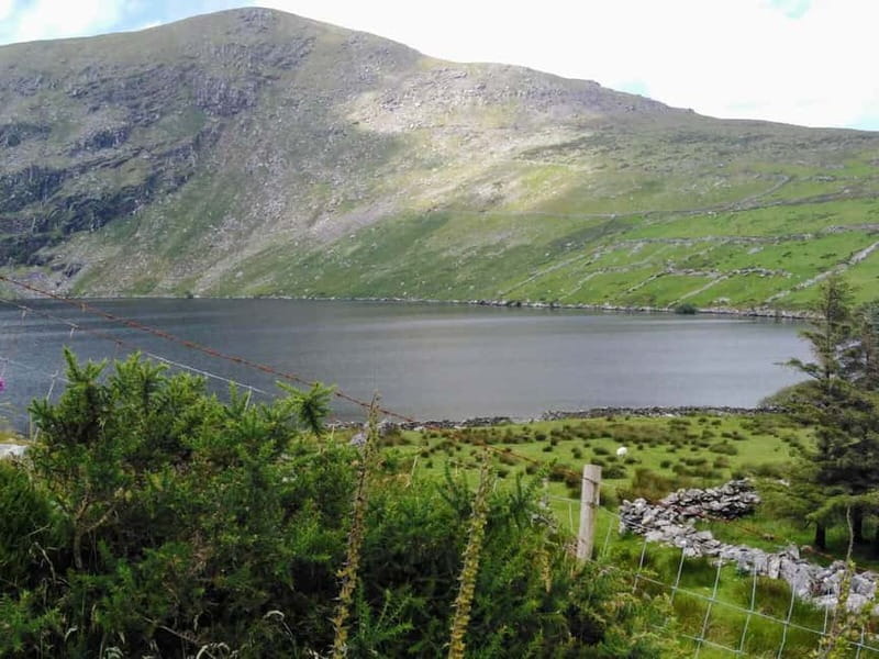 From Cork: Ring of Kerry & Killarney Guided Full Day Tour - Killarney brings the day back to town life