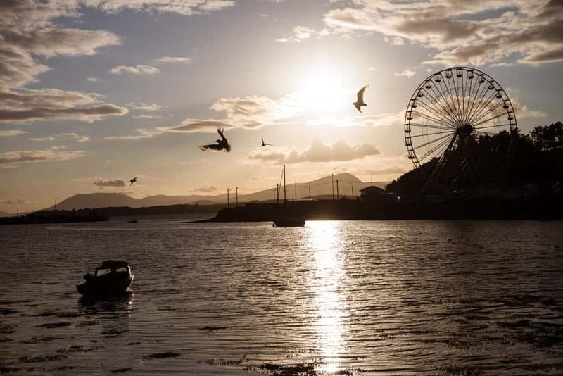 From Cork: West Cork to Mizen Head Guided Full Day Tour - Who will get the most from this tour?