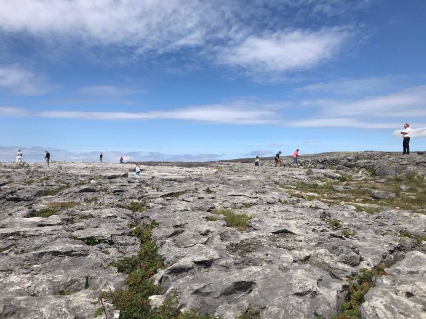 From Dublin: 3-Day Cork, Ring of Kerry, Ciffs of Moher Tour - What the $1,041 price really covers