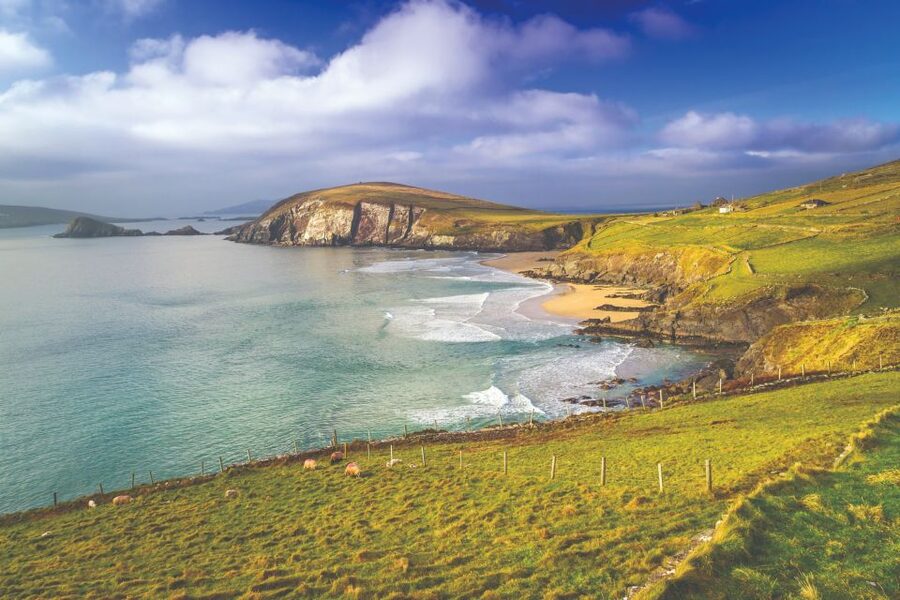 From Dublin: 3-Day Dingle, Killarney & the Wild Atlantic Way - Key points to know before you book