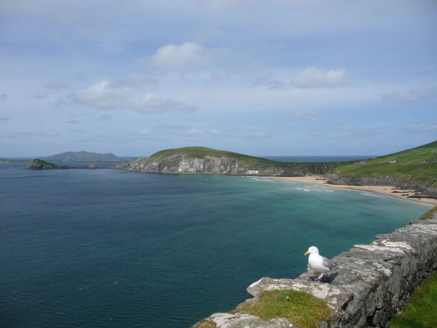 From Dublin: 5-Day Tour to the Southwest with Accommodation - Dingle Peninsula, Atlantic beaches, and prehistoric Ireland