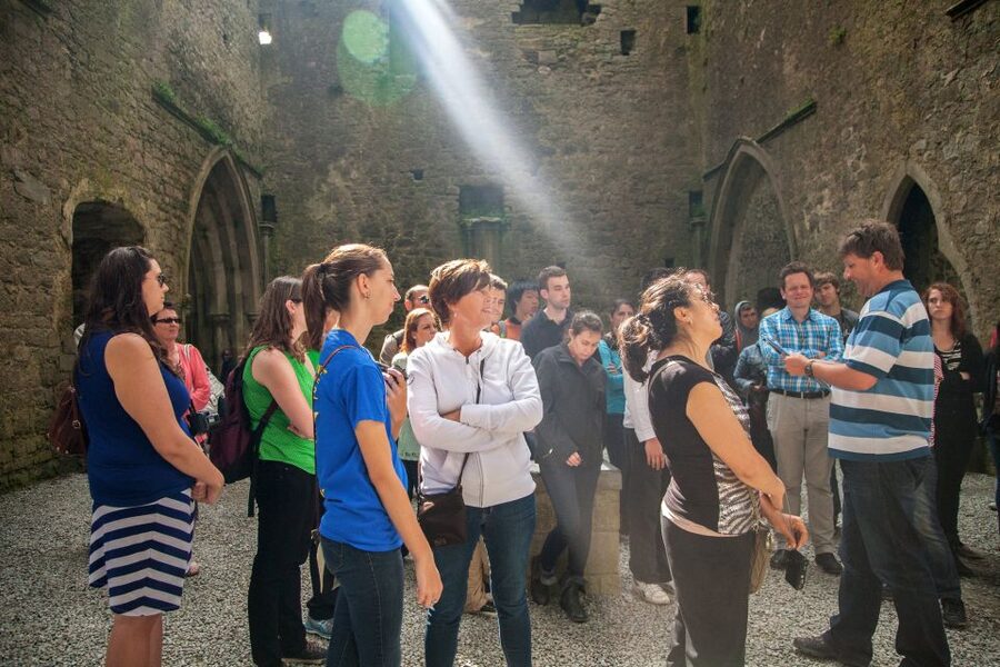 From Dublin: Blarney, Rock of Cashel and Cahir Castles Tour - Who will enjoy this day trip most