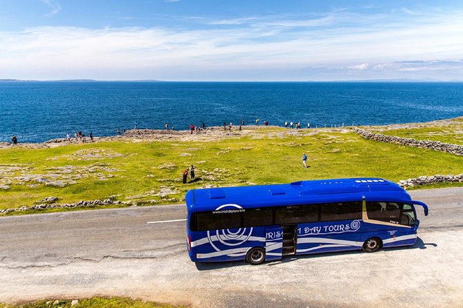 From Dublin: Cliffs of Moher, Bird of Prey & Aillwee Cave - Why this Dublin to Clare trip works