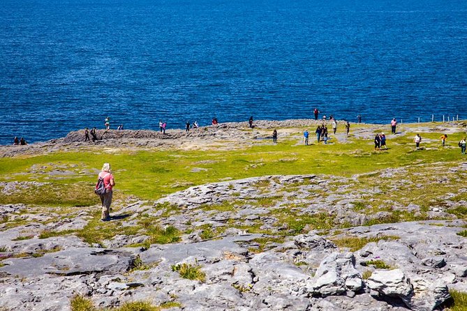 From Dublin: Cliffs of Moher, Bird of Prey & Aillwee Cave - The return to Dublin can run late