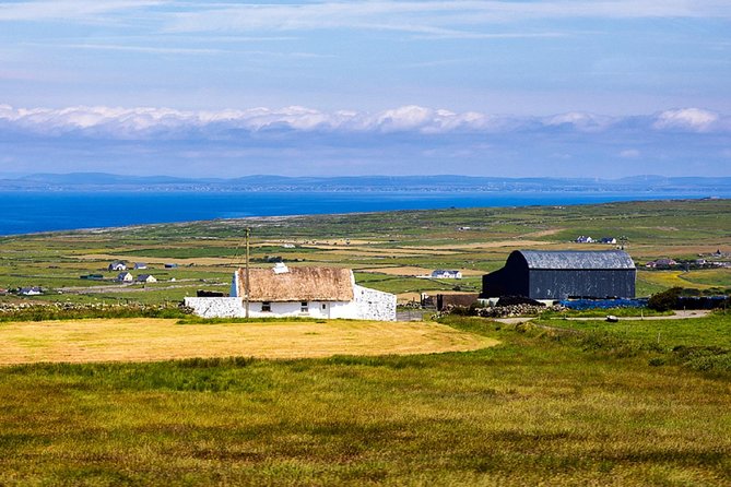 From Dublin: Cliffs of Moher, Bird of Prey & Aillwee Cave - Who will get the most from this tour