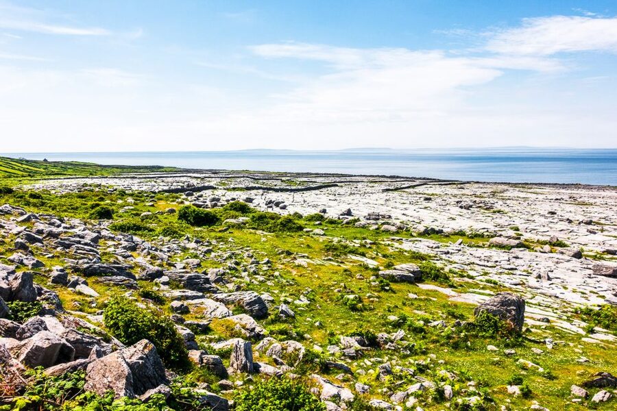 From Dublin: Cliffs of Moher, Burren & Galway City Day Tour - The coach, commentary, and long hours on the road