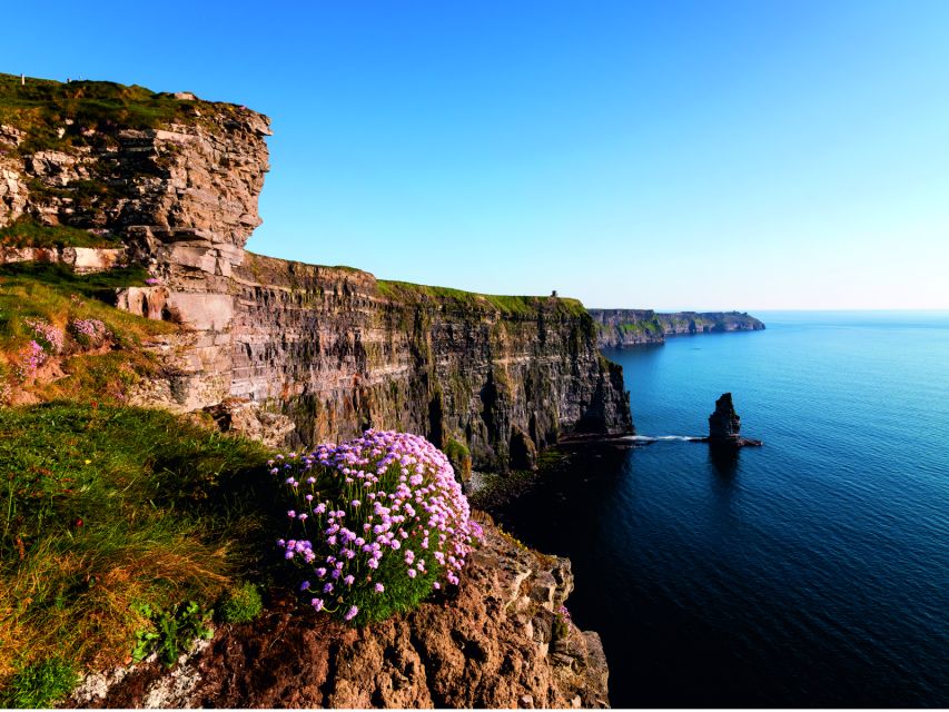 From Dublin: Cliffs of Moher Small Group Tour - Who should book this tour?