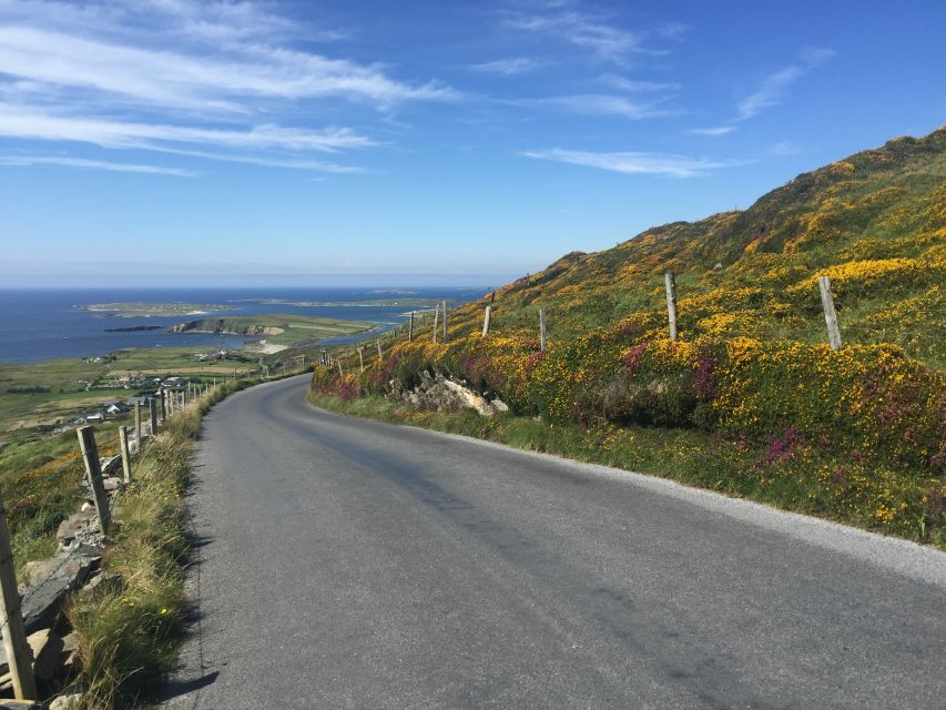 From Dublin: Connemara and Galway Bay Day Tour - Leenane and Ireland’s only fjord