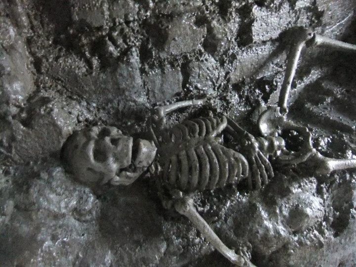 From Dublin: Gravedigger Ghost Bus Tour - What the $34 price gets you