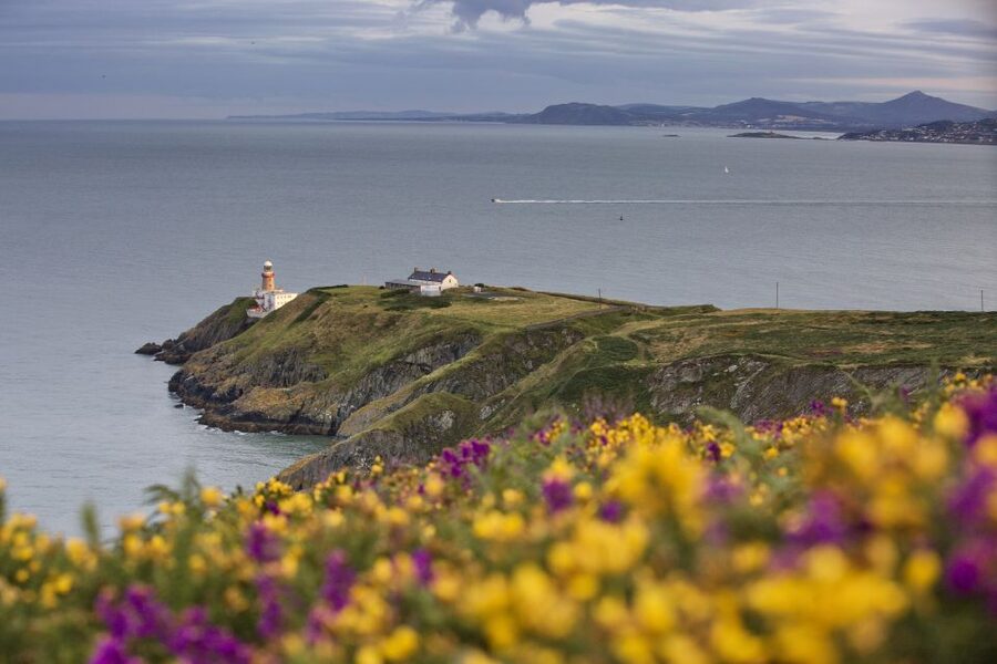 From Dublin: Half-Day Guided Coastal Tour to Howth Village - Reaching Howth Summit and the Green Route