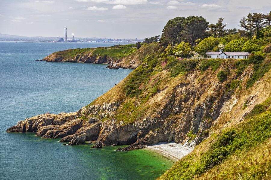 From Dublin: Half-Day Guided Coastal Tour to Howth Village - The Return to Dublin