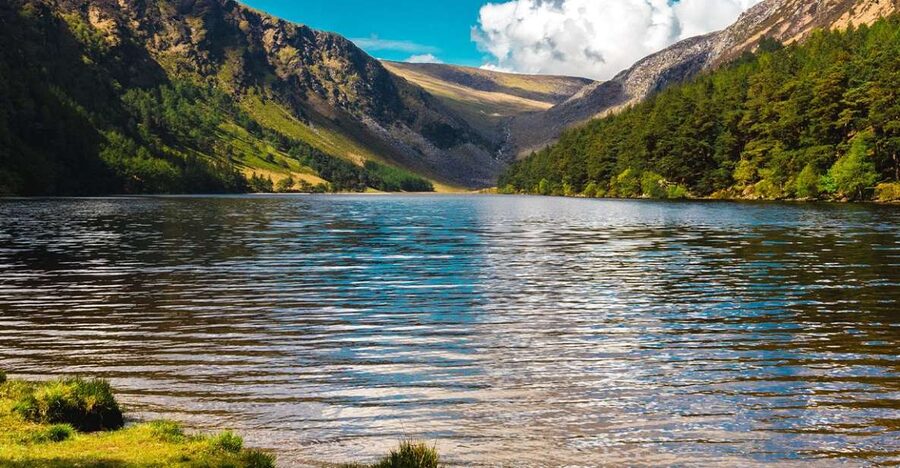 From Dublin: Half-Day Trip to Glendalough and Wicklow - What the guides add to the outing