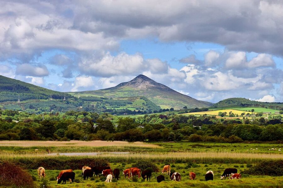 From Dublin: Wicklow Mountains, Glendalough & Kilkenny Tour - Who should book this tour?