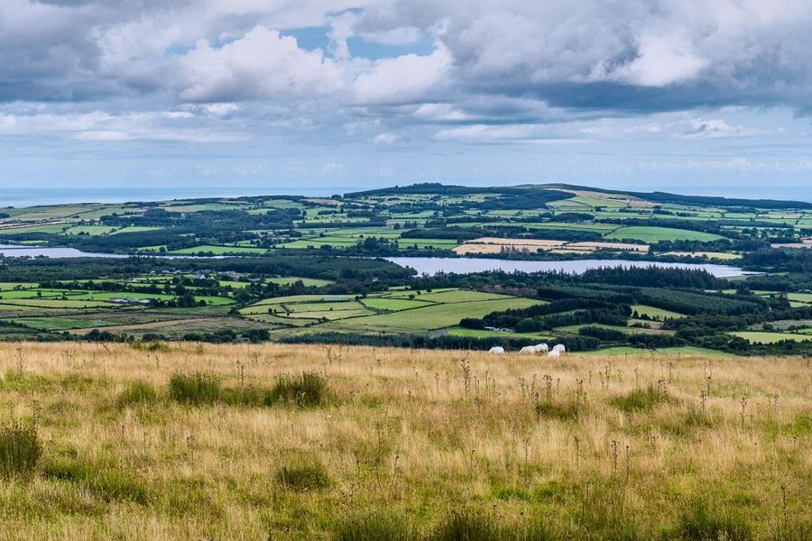 From Dublin: Wicklow Mountains, Glendalough & Kilkenny Tour - What to pack and how to manage the day