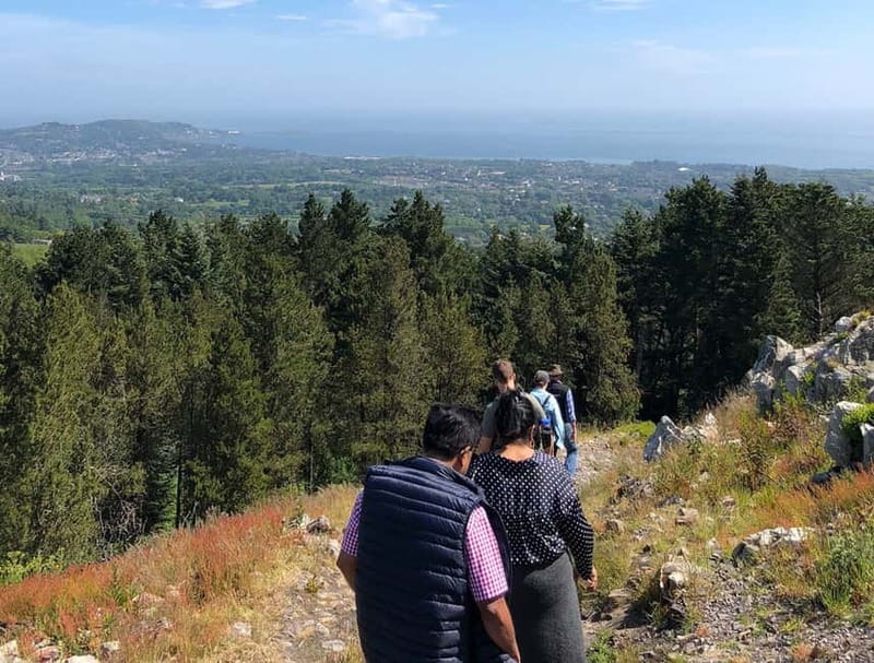 From Dublin: Wicklow, Powerscourt, and Glendalough Day Tour - How the guide shapes the day