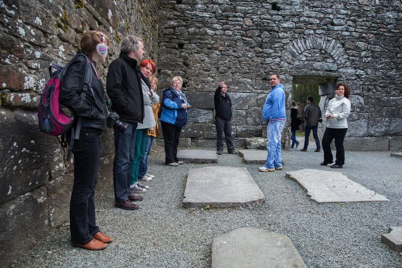 From Dublin: Wicklow, Powerscourt, and Glendalough Day Tour - The vehicle, pace, and practical rhythm