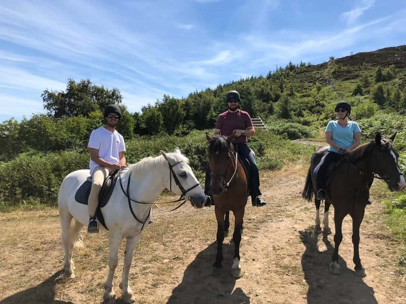 From Dublin: Wicklow, Powerscourt, and Glendalough Day Tour - Is $74 good value?