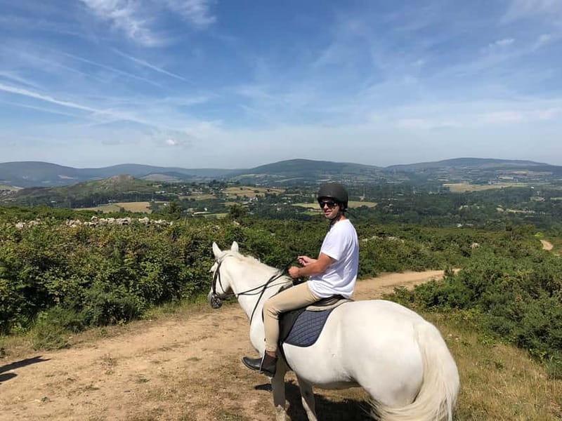 From Dublin: Wicklow, Powerscourt, and Glendalough Day Tour - A short pause in Enniskerry