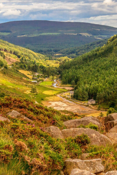 Wild Wicklow Mountains and Glendalough Tour