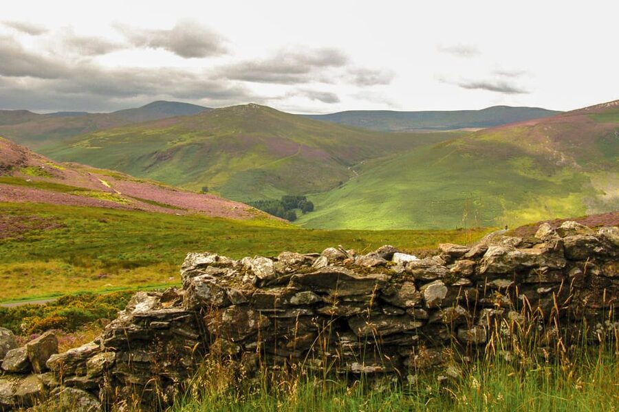 From Dublin: Wild Wicklow Mountains and Glendalough Tour - A one-hour lunch stop at Lynhams of Laragh