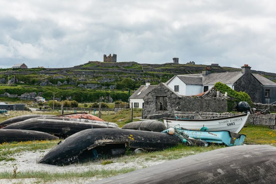 From Galway: Aran Islands & Cliffs of Moher Full-Day Trip - How the $85 price works out