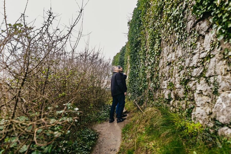From Galway: Cliffs of Moher and The Burren Guided Day Trip - Who should book this day trip?