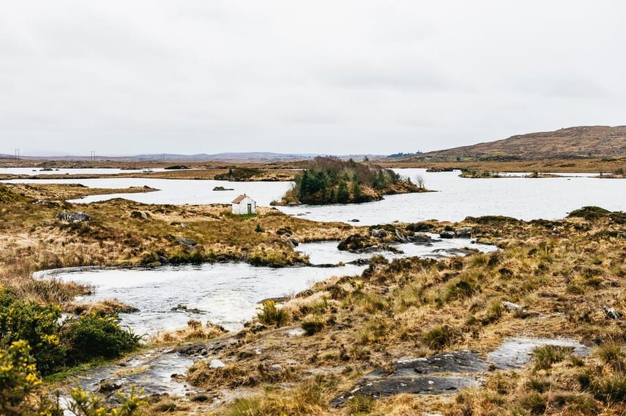 From Galway: Connemara and Connemara National Park Day Trip - Guides, drivers, and the feel of the day