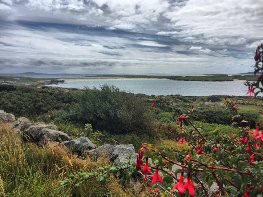 From Galway: Connemara and Kylemore Abbey Day Tour - Key points to know before booking