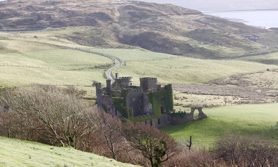 From Galway: Connemara and Kylemore Abbey Day Tour - Who will enjoy this Connemara day?