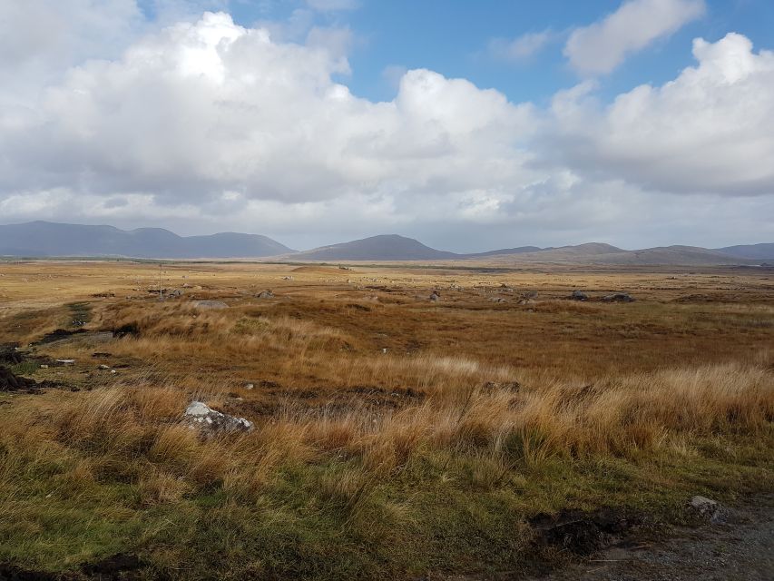 From Galway: Connemara and Kylemore Abbey Day Tour - The return through Inagh Valley and Recess