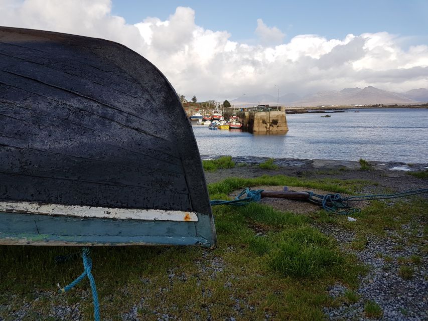From Galway: Connemara and Kylemore Abbey Day Tour - What the $57 price really covers