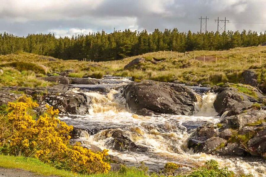 From Galway: Connemara & Kylemore Abbey Full-Day Guided Tour - Key points to know before booking