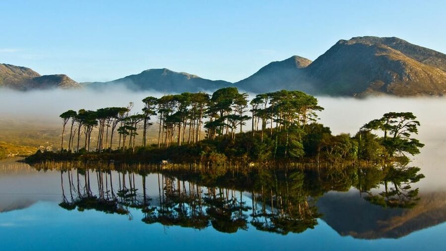 From Galway: Connemara, Kylemore Abbey or National Park Tour - Key points to know before booking