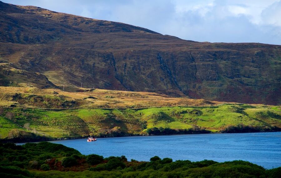 From Galway: Connemara National Park Full Day Tour - Should you book it?