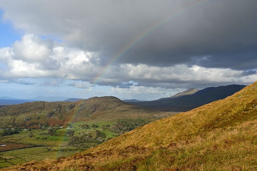 From Galway: Connemara National Park Full Day Tour - Price, flexibility, and what is not included