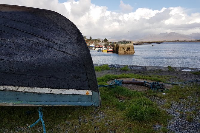 From Galway: Guided tour of Connemara with 3 hour stop at Connemara National Pk. - Choosing Diamond Hill or Kylemore Abbey