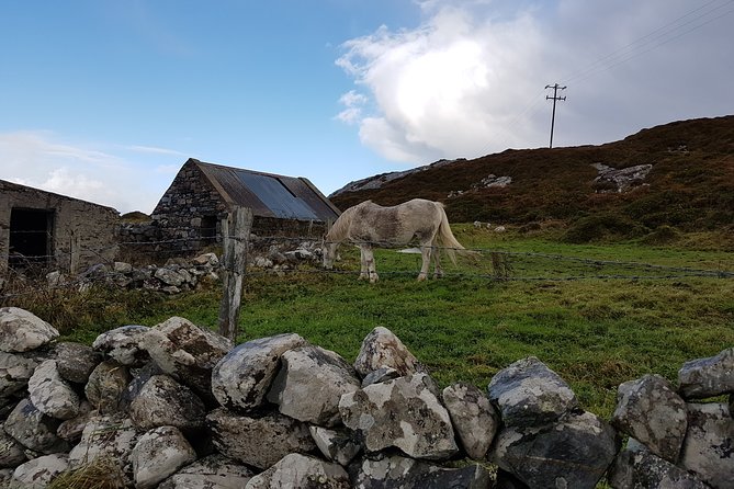 From Galway: Guided tour of Connemara with 3 hour stop in Kylemore Abbey - Clifden, the center of Connemara