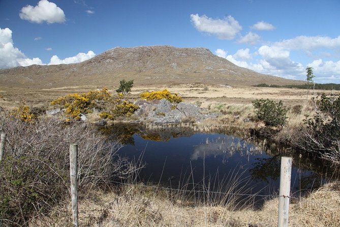 From Galway: Guided tour of Connemara with 3 hour stop in Kylemore Abbey - Lakes, bogs, and the first photo stops