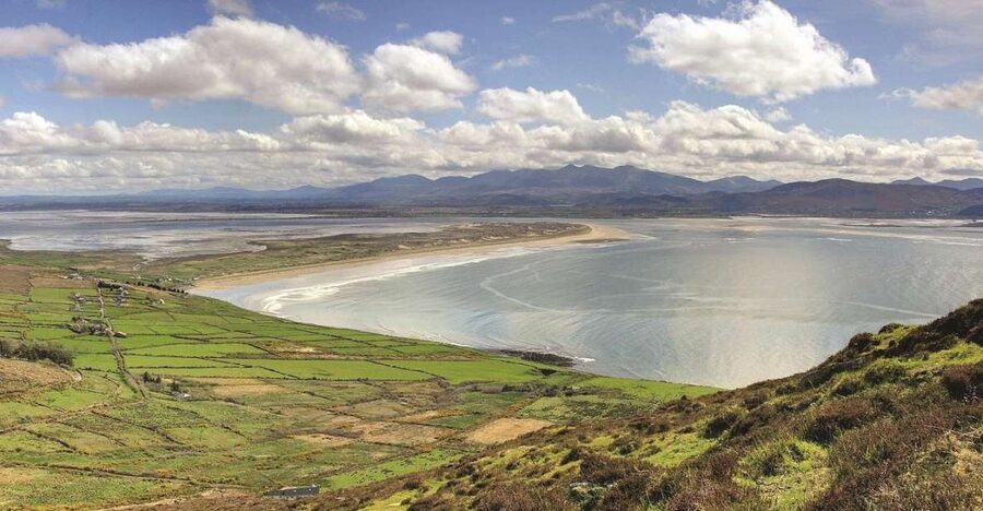 From Killarney: Day Trip to Dingle - Dingle village and the pub count