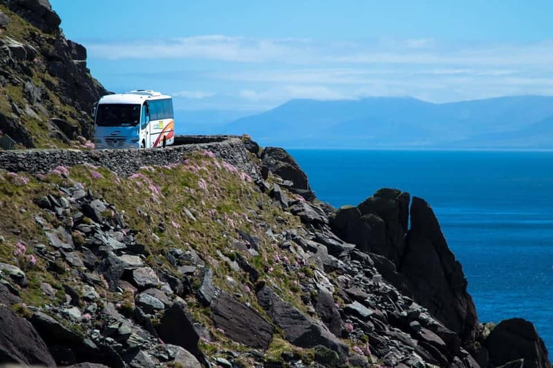 From Killarney: Dingle and Slea Head Peninsula Day Tour - Key points at a glance