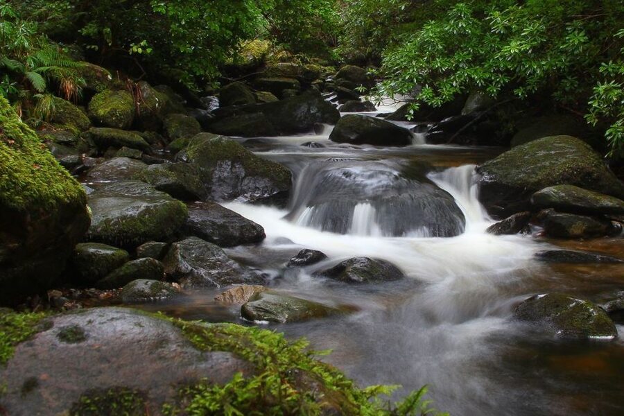 From Killarney: Ring of Kerry Full-Day Tour - Waterville, Ballinskelligs Bay, and Charlie Chaplin