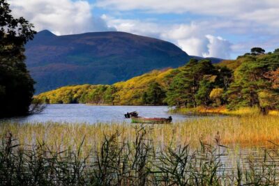 Ring of Kerry Full-Day Tour